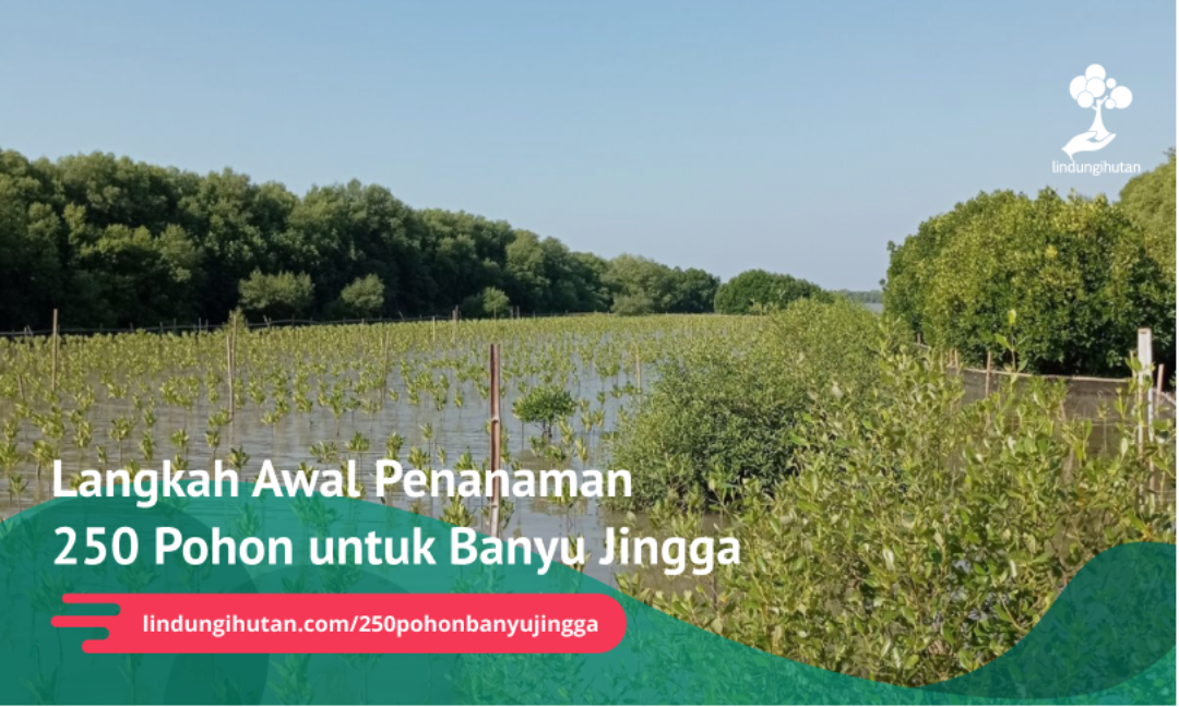 Gambar Kampanye