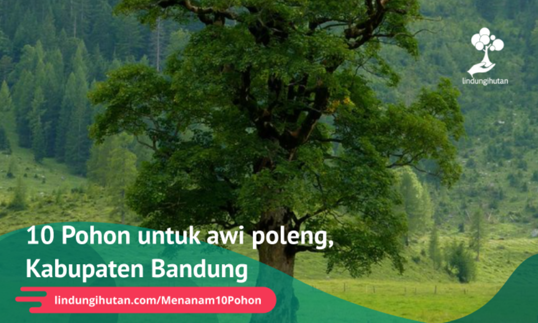 Gambar Kampanye