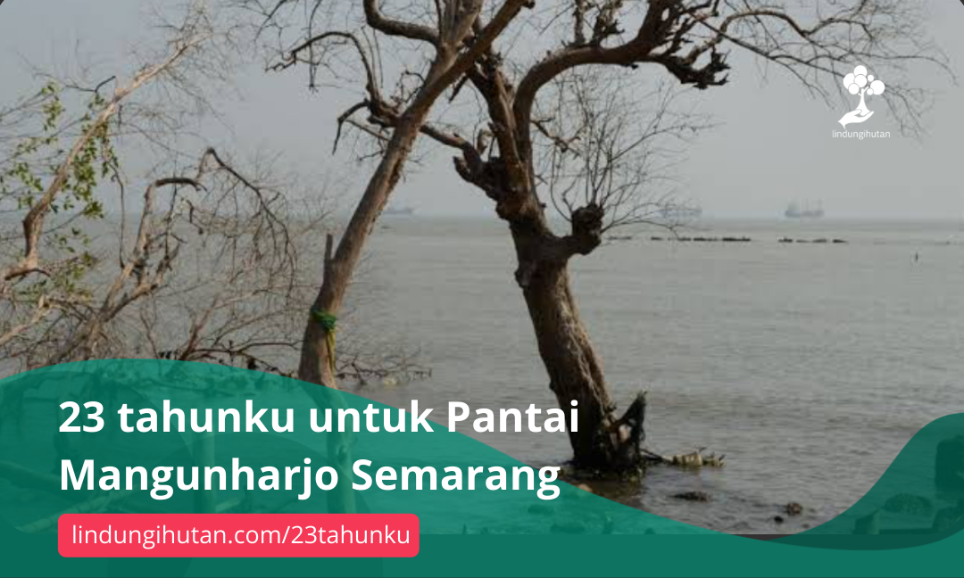 Gambar Kampanye