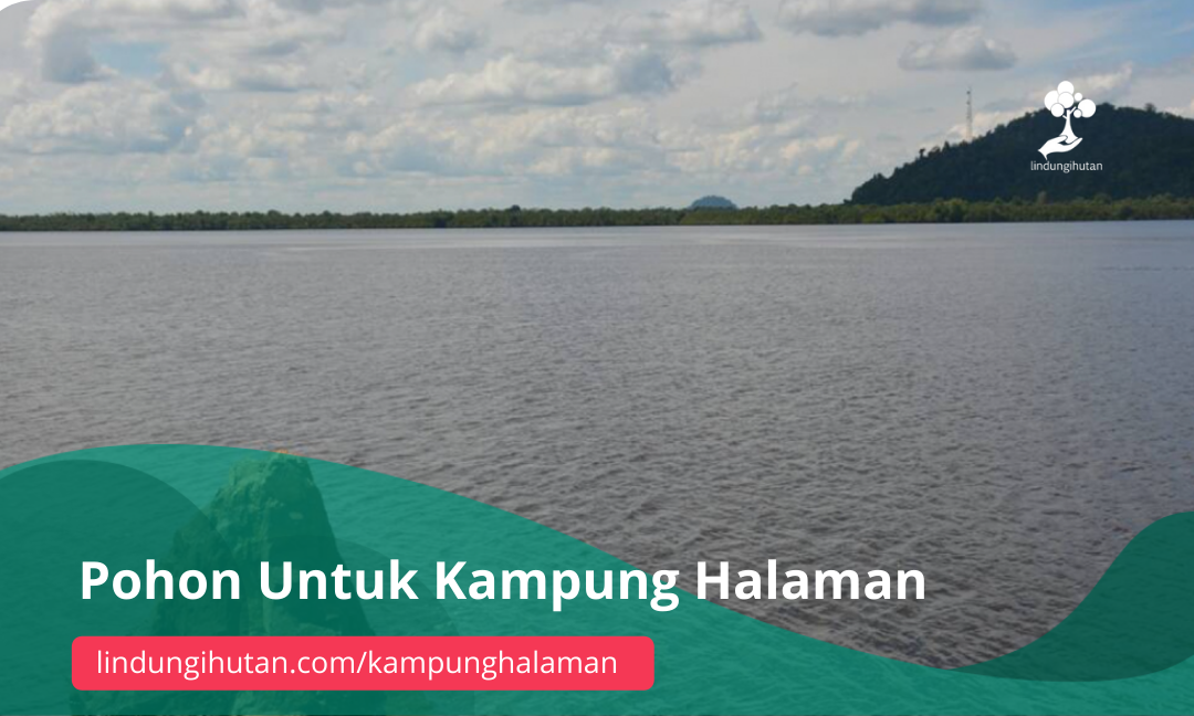 Gambar Kampanye