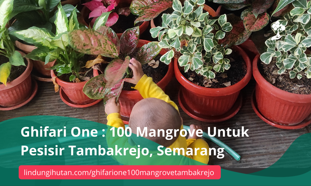 Gambar Kampanye