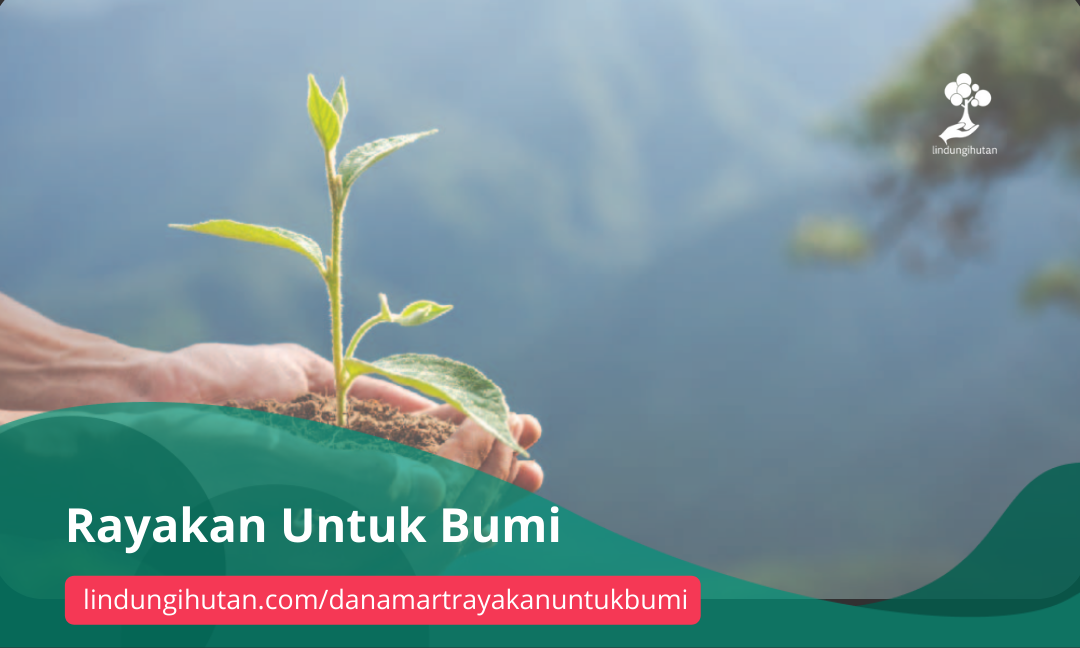 Gambar Kampanye