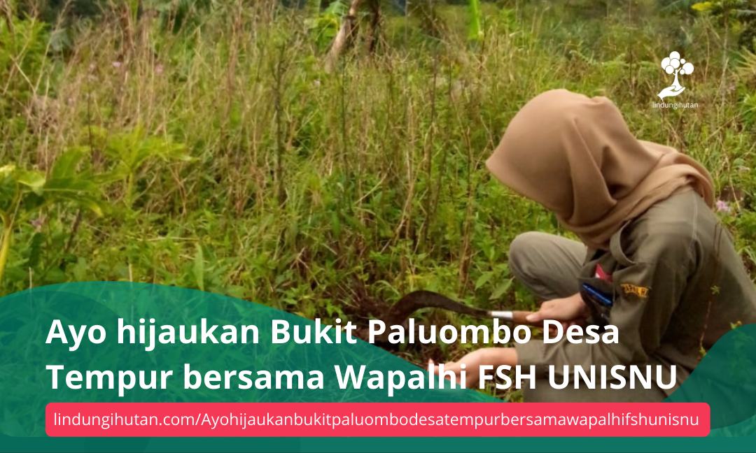 Gambar Kampanye