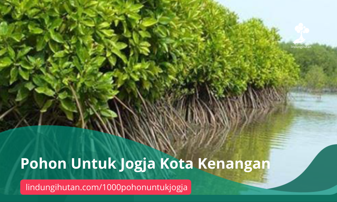Gambar Kampanye