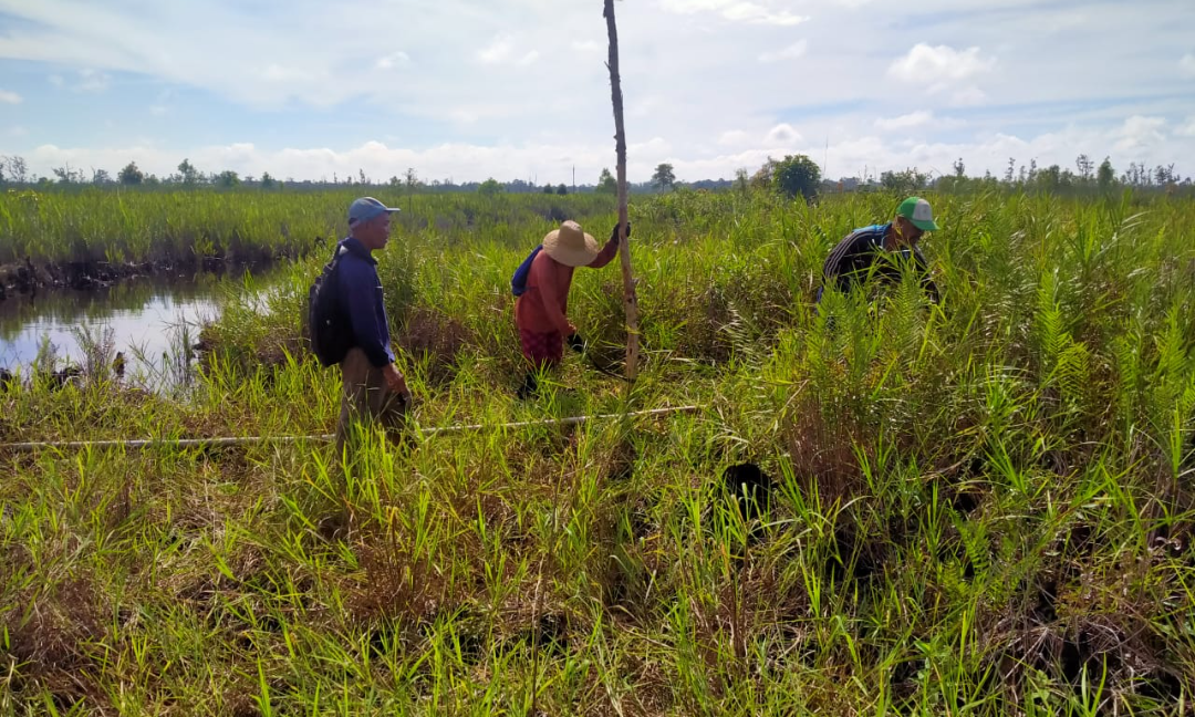 Gambar Kampanye