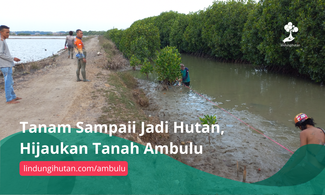 Gambar Kampanye