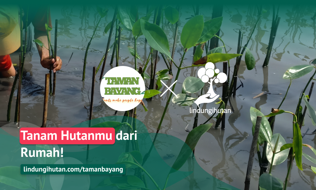 Gambar Kampanye