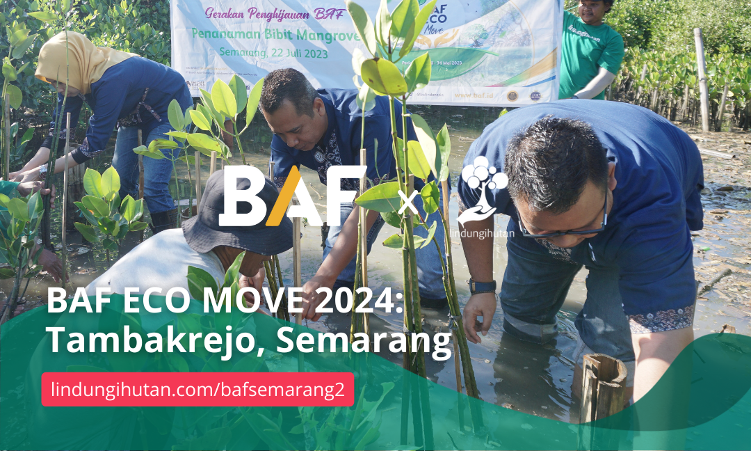 Gambar Kampanye