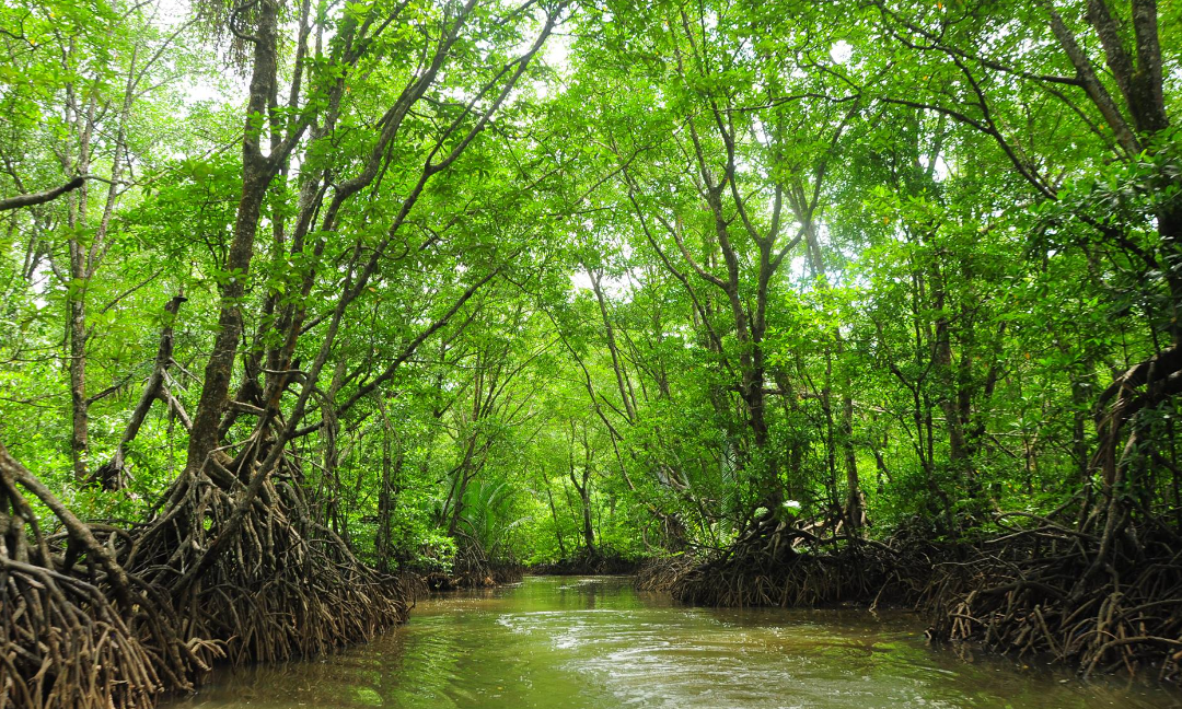 Gambar Kampanye