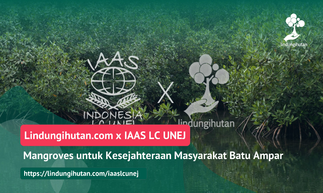 Gambar Kampanye