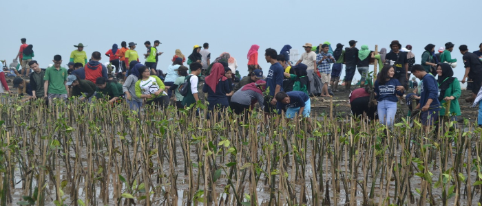 Gambar Kampanye