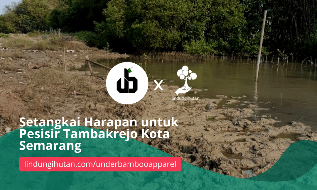 Gambar Kampanye