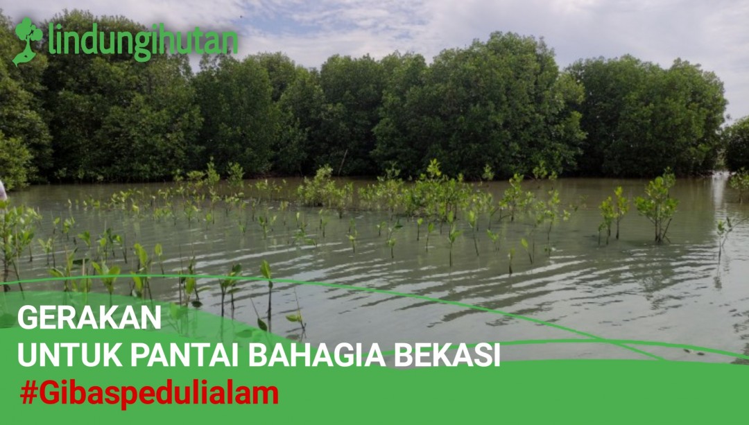 Gambar Kampanye