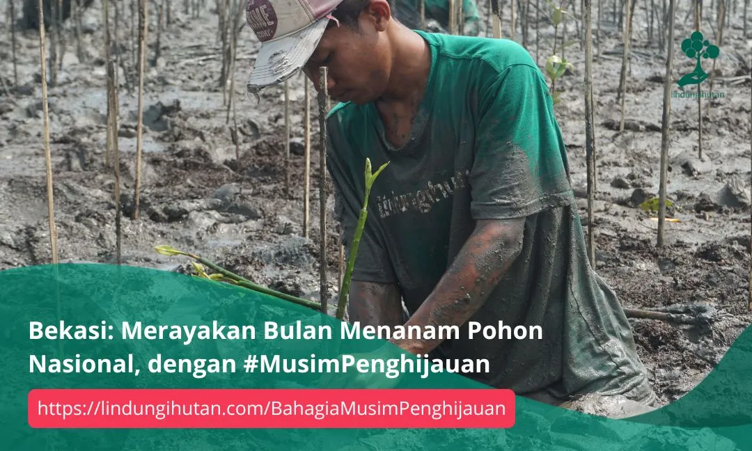 Gambar Kampanye