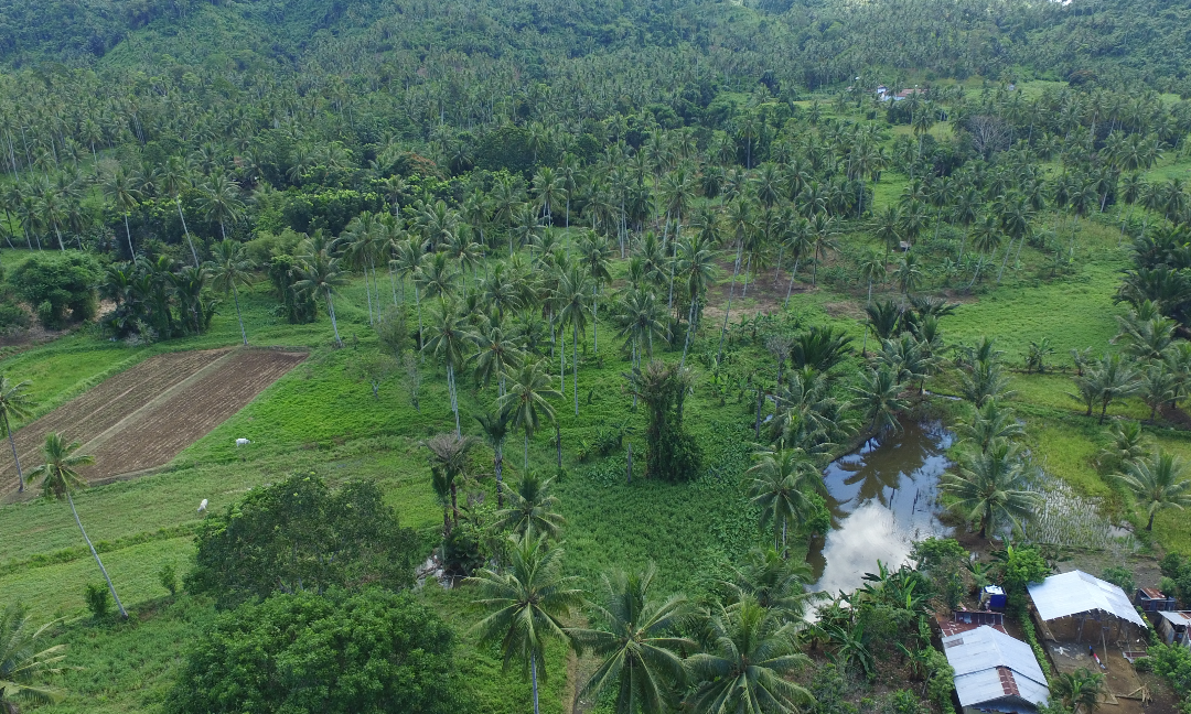 Gambar Kampanye