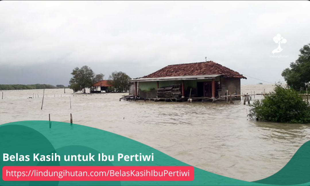 Gambar Kampanye