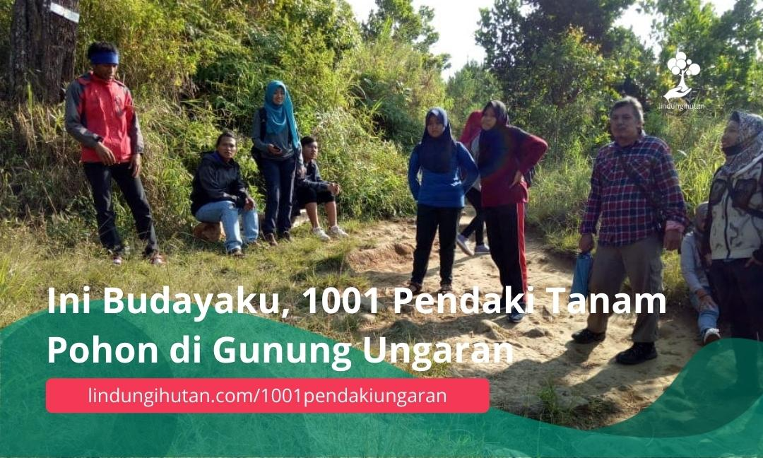 Ini Budayaku, 1001 Pendaki Tanam Pohon di Gunung Ungaran