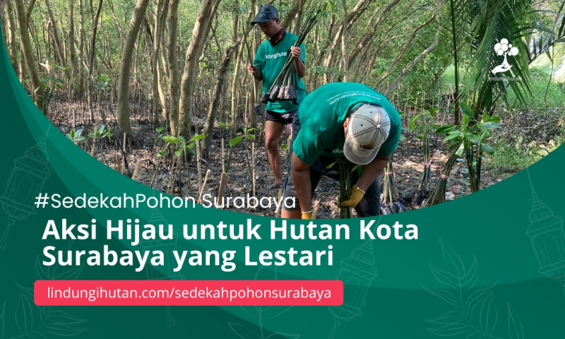 Gambar Kampanye