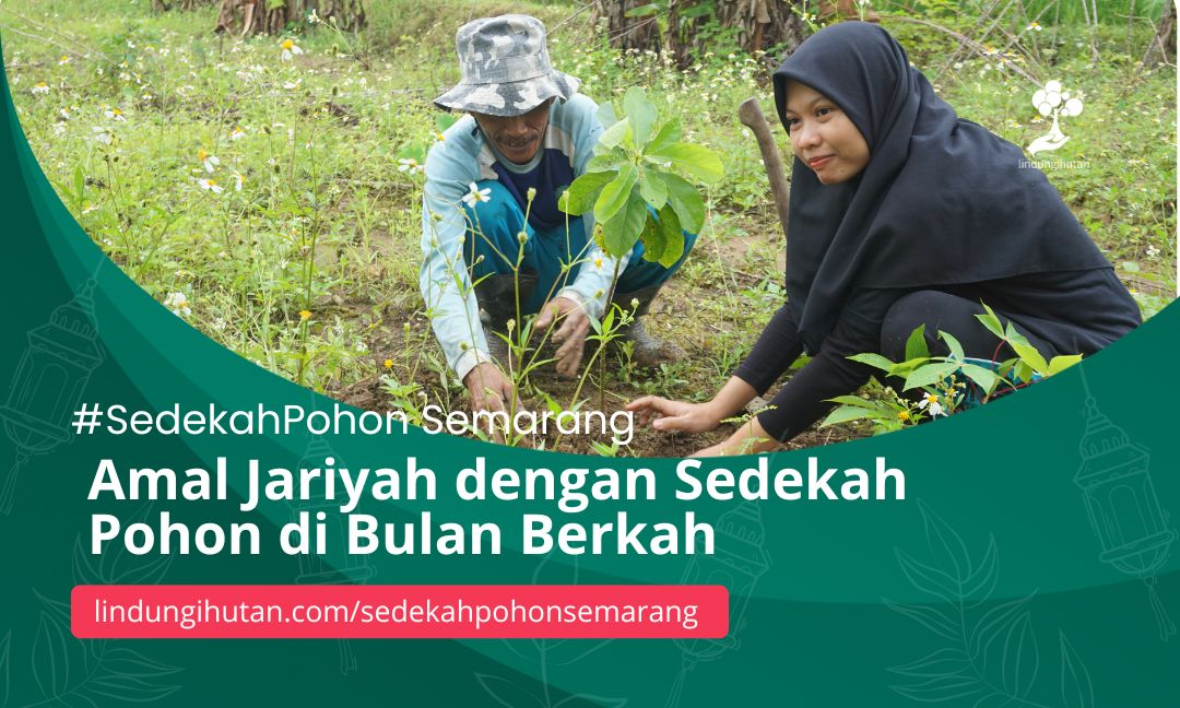 Gambar Kampanye