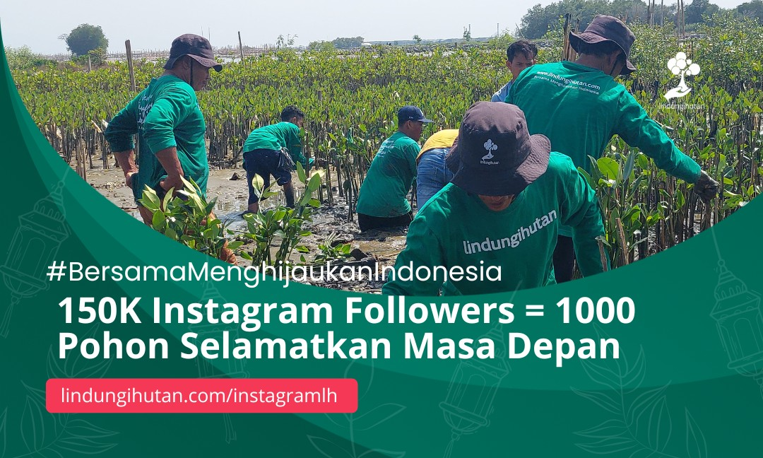 Gambar Kampanye