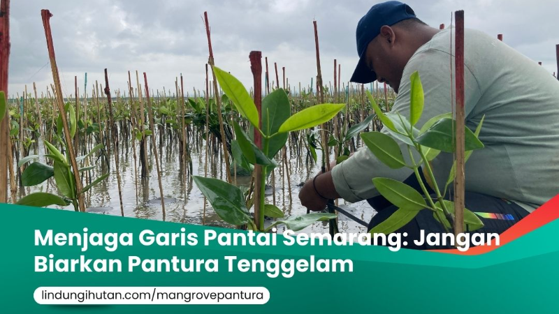 Gambar Kampanye
