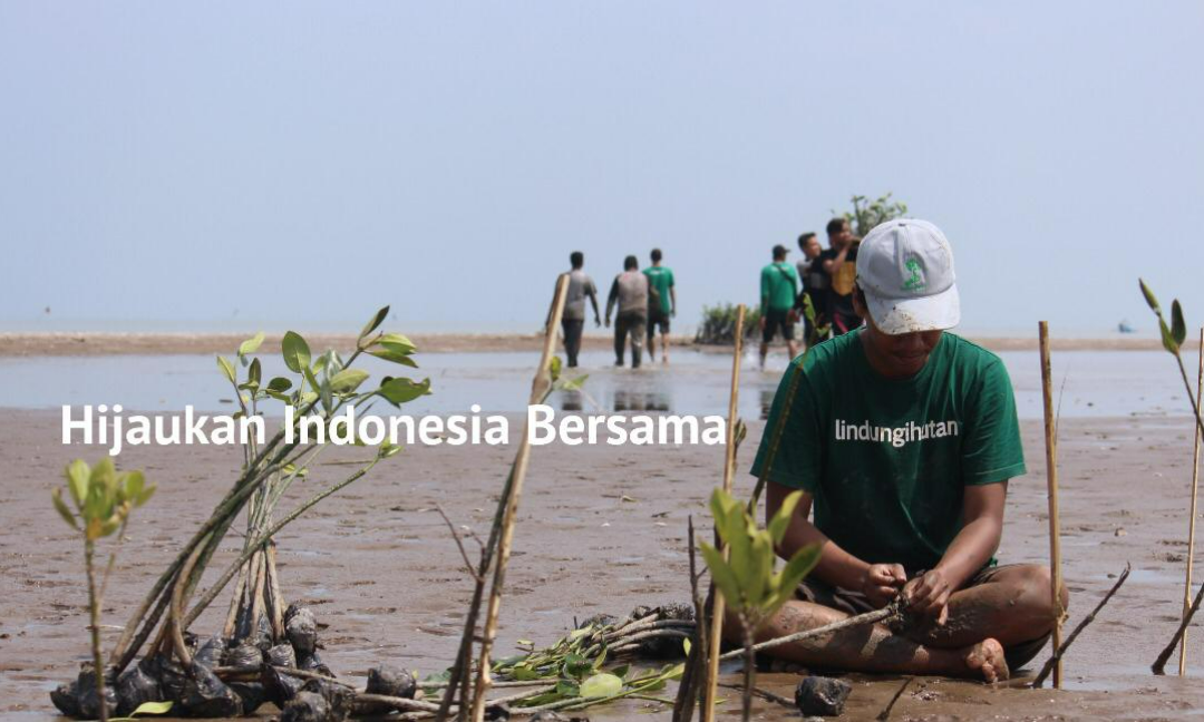 Gambar Kampanye