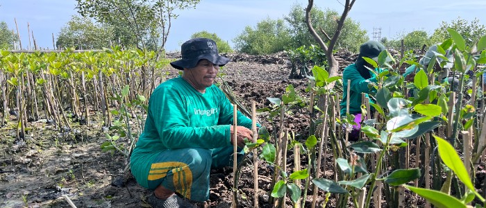 Gambar Kampanye