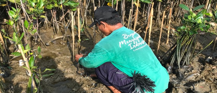 Gambar Kampanye