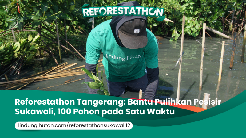 Gambar Kampanye