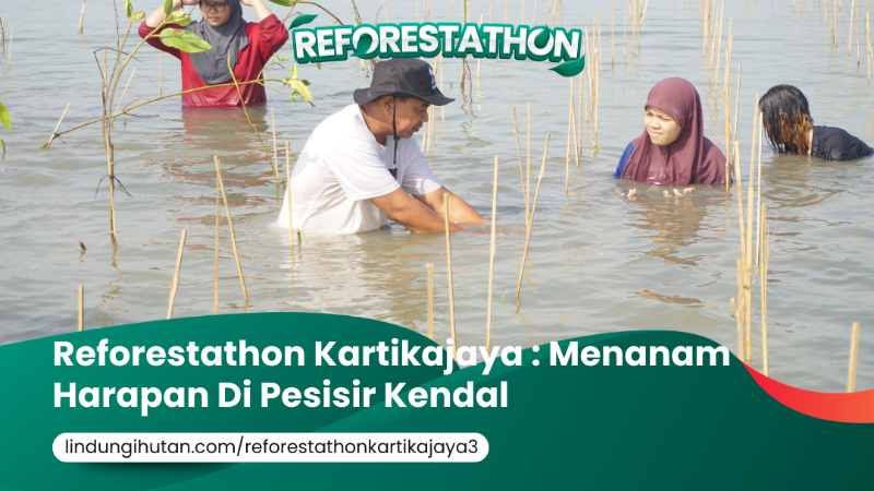 Gambar Kampanye