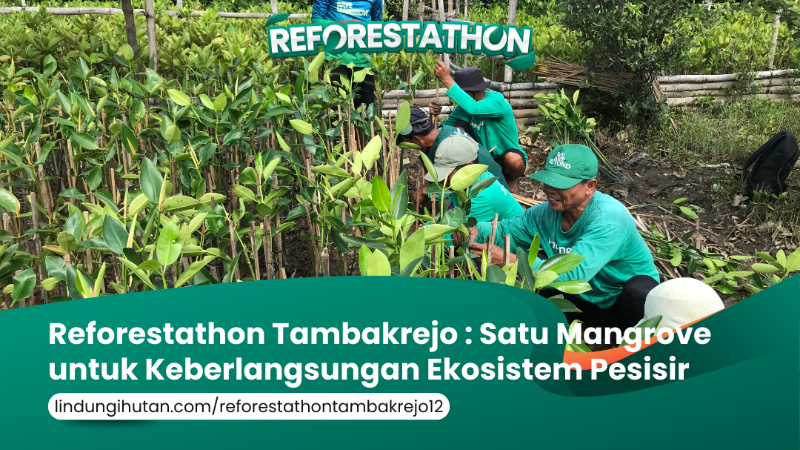 Gambar Kampanye