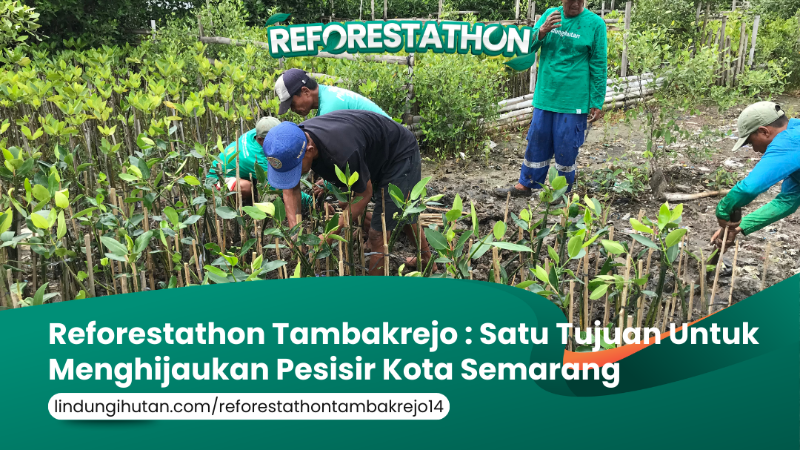 Gambar Kampanye