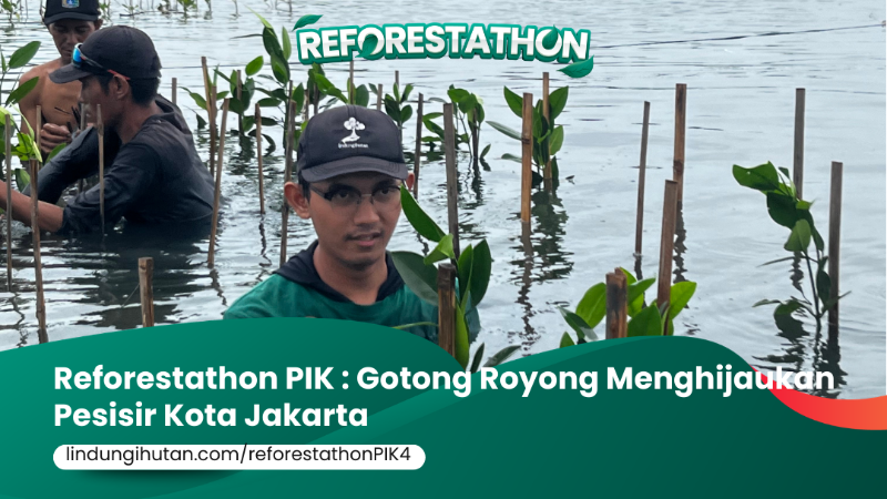 Gambar Kampanye