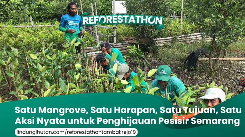 Gambar Kampanye