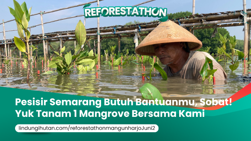 Gambar Kampanye