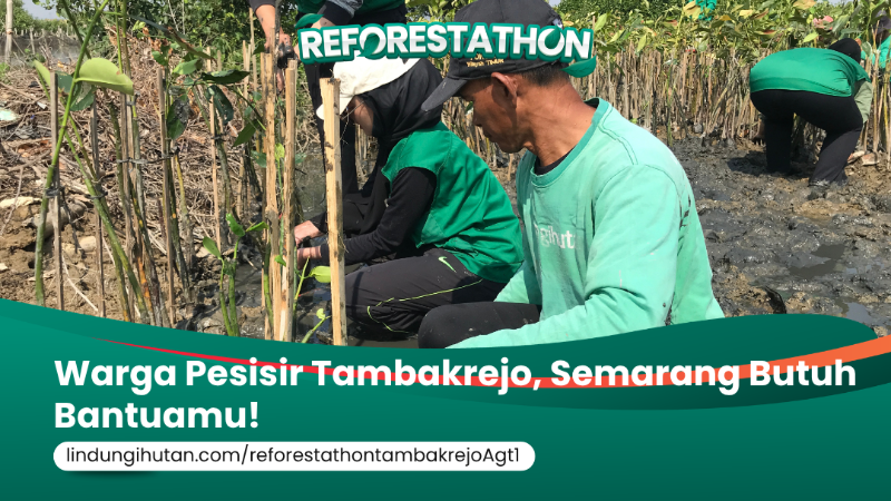 Gambar Kampanye