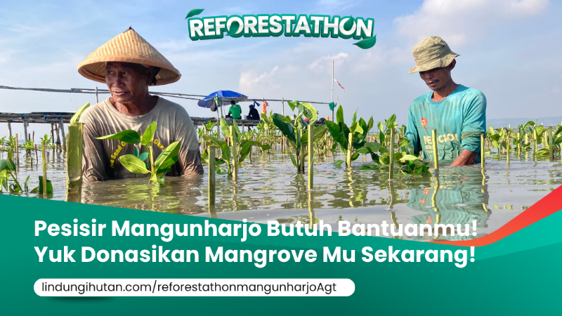 Gambar Kampanye