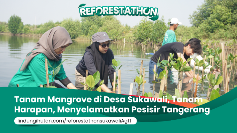 Gambar Kampanye