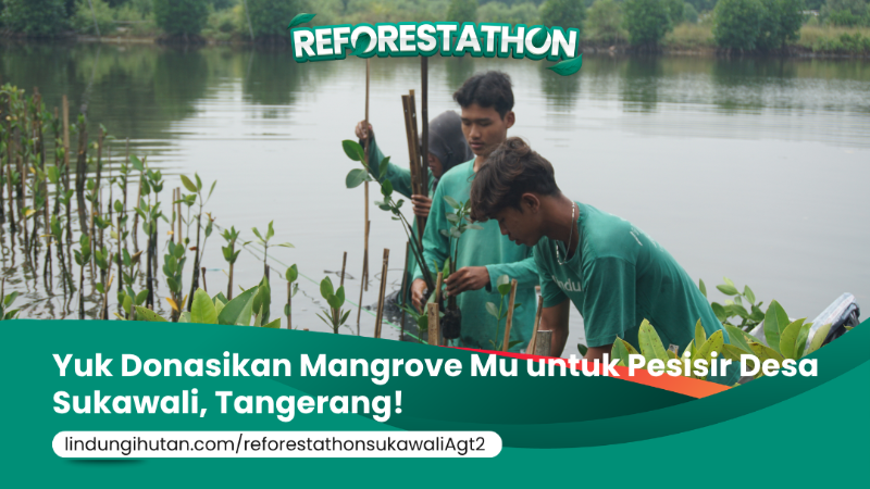 Gambar Kampanye