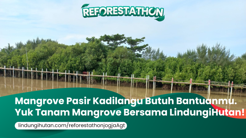 Gambar Kampanye