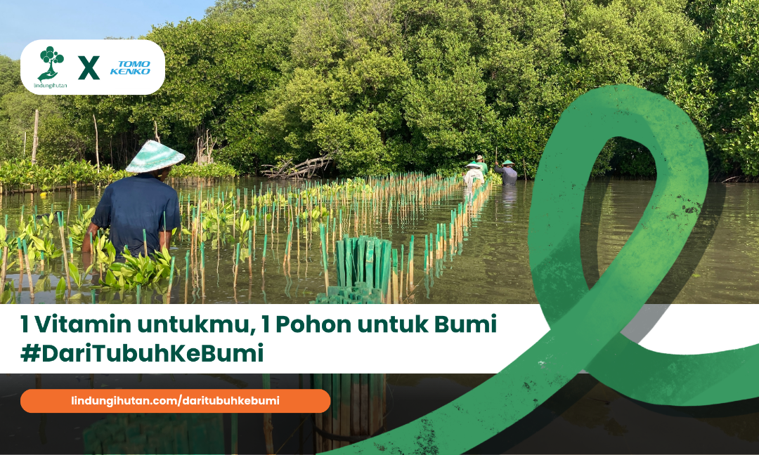 Gambar Kampanye
