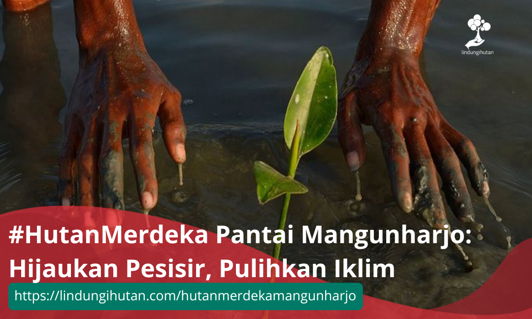 Gambar Kampanye