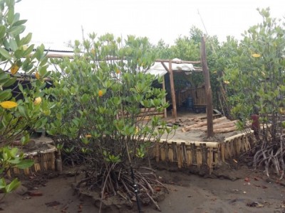 Gambar Kampanye
