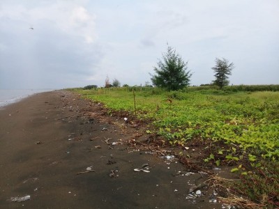 Gambar Kampanye
