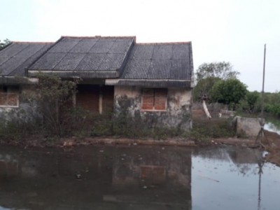 Gambar Kampanye