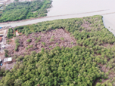 Gambar Kampanye