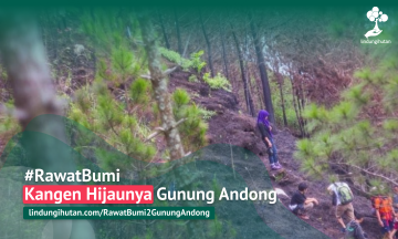 Gambar Kampanye