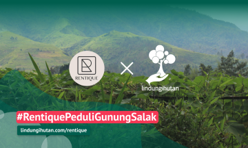 Gambar Kampanye
