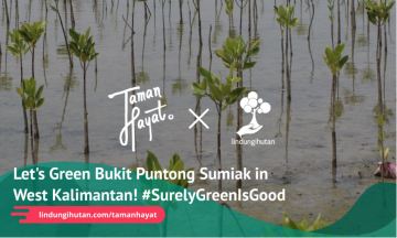 Gambar Kampanye