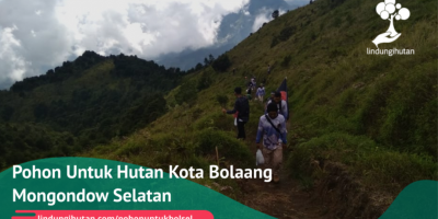 Gambar Kampanye